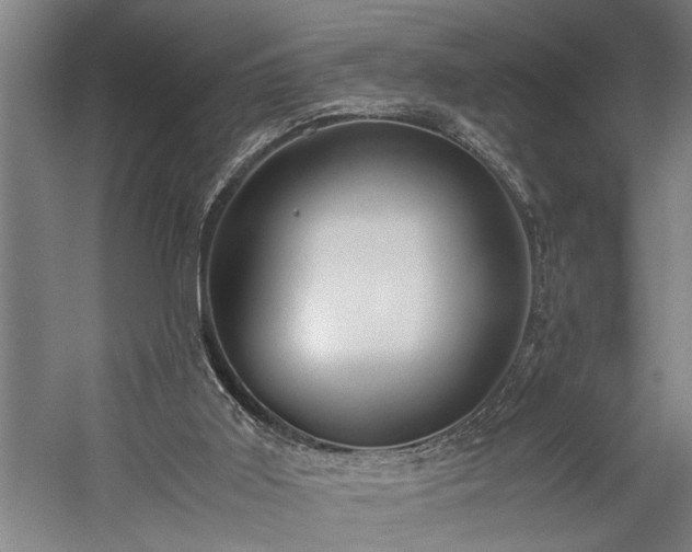 X0000060260011200510281217