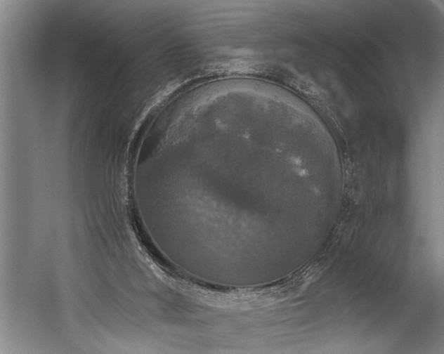 X0000060260012200510281217