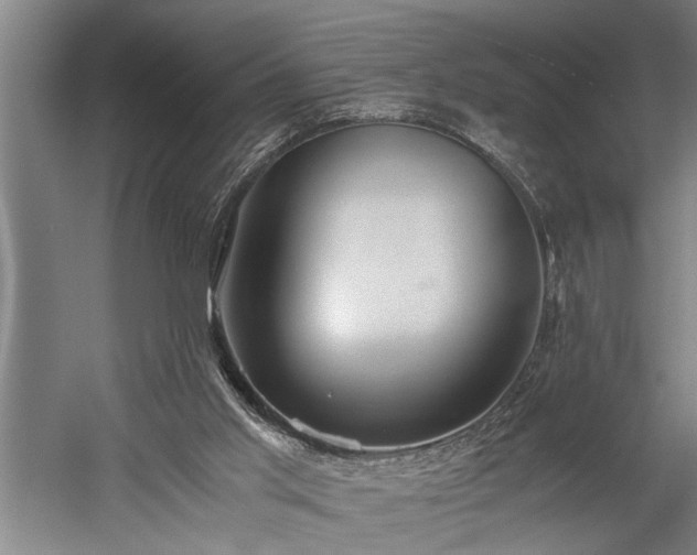 X0000060260013200510281217