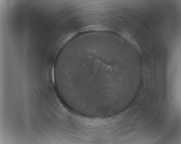 X0000060260014200510281217