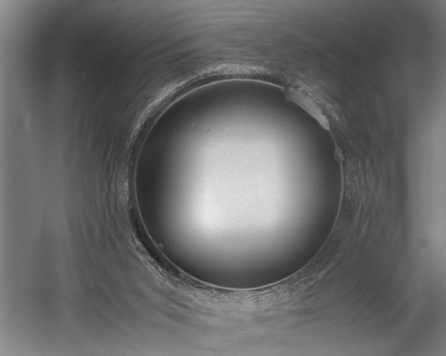 X0000060260015200510281217