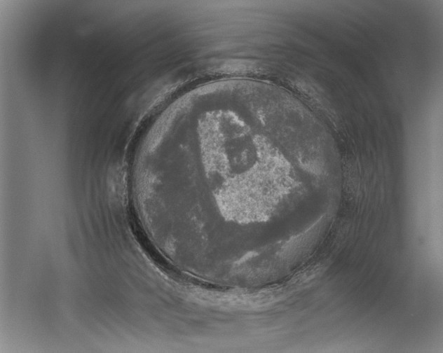 X0000060260016200510281217