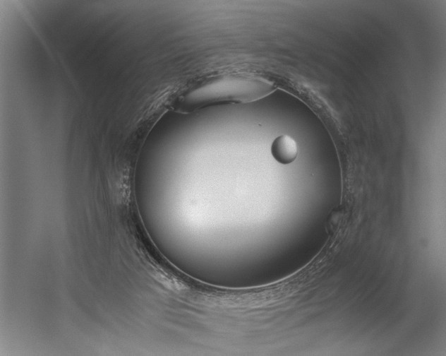 X0000060260017200510281217