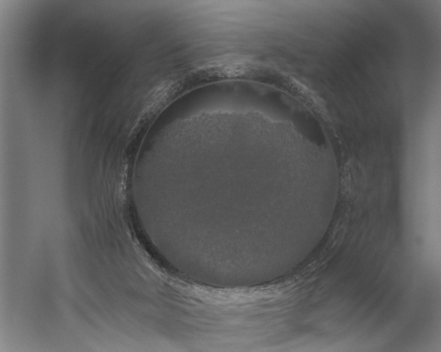 X0000060260018200510281217