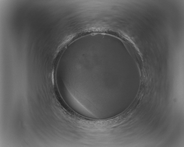 X0000060260019200510281217