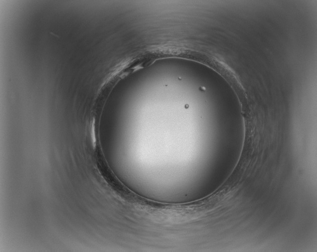 X0000060260020200510281217