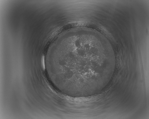 X0000060260022200510281217