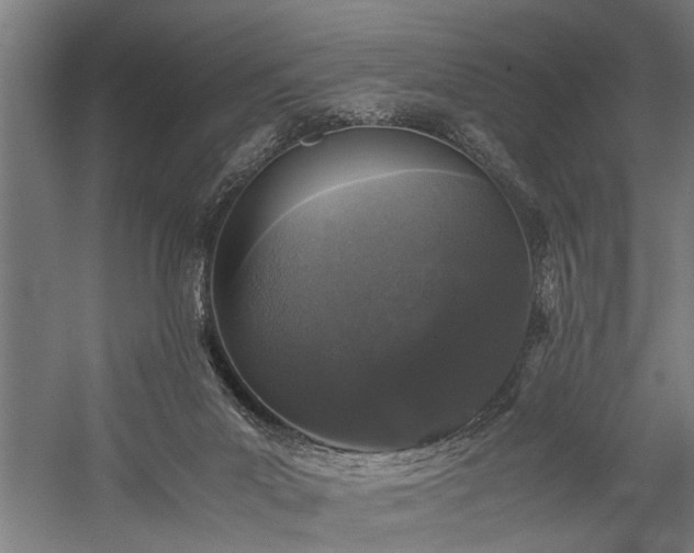 X0000060260023200510281217