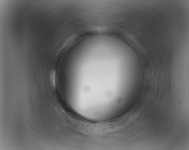 X0000060260024200510281217