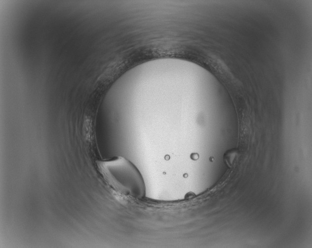 X0000060260025200510281217