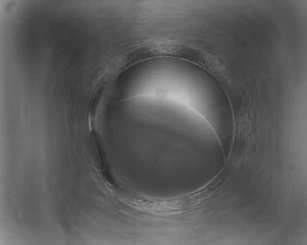 X0000060260027200510281217