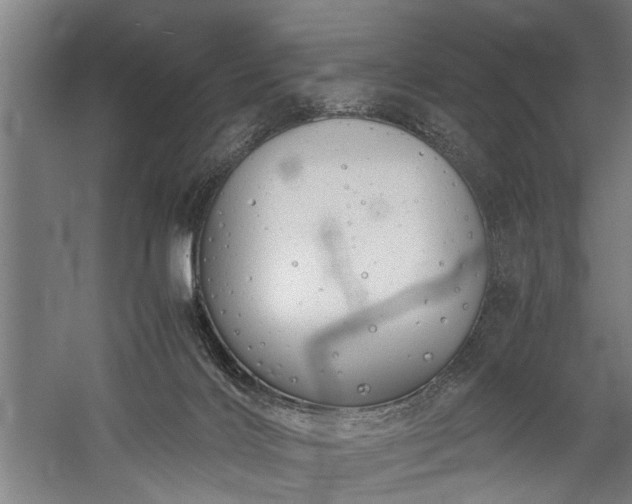 X0000060260028200510281217