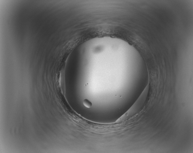 X0000060260029200510281217