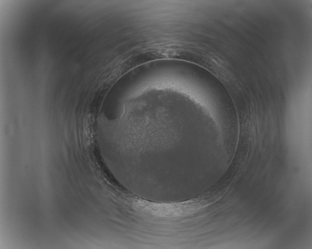 X0000060260030200510281217