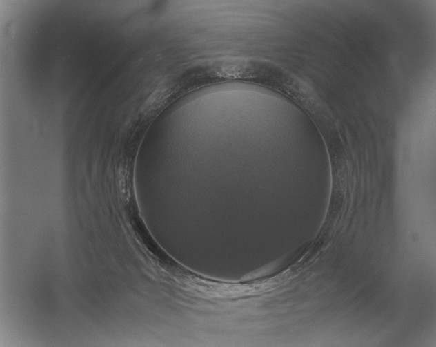 X0000060260031200510281217