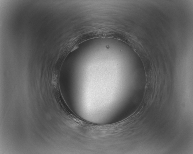 X0000060260033200510281217