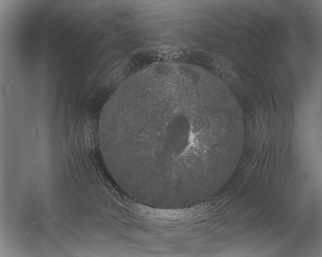 X0000060260034200510281217