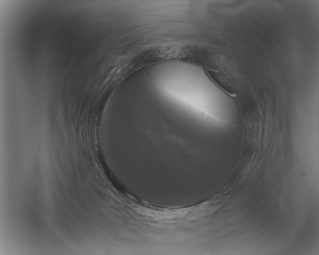 X0000060260035200510281217