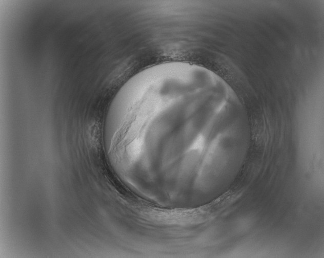 X0000060260036200510281217