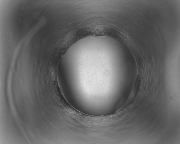 X0000060260037200510281217