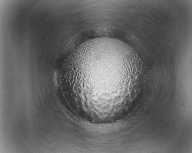 X0000060260038200510281217