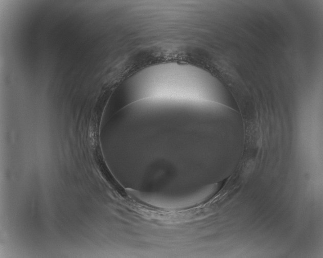 X0000060260039200510281217