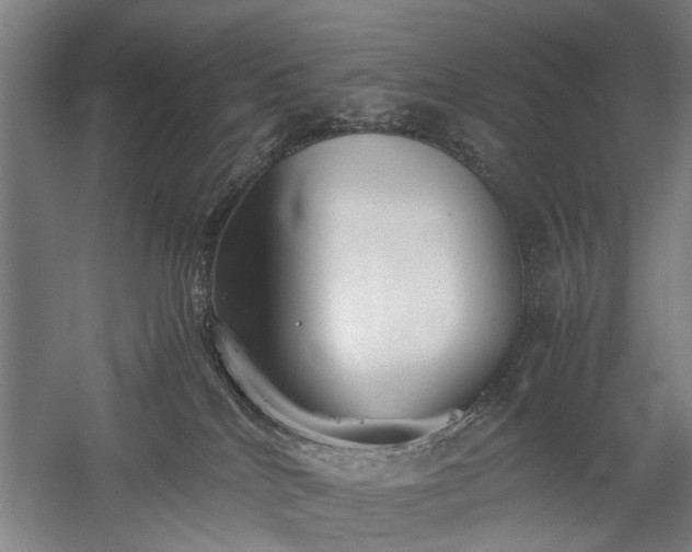 X0000060260040200510281217