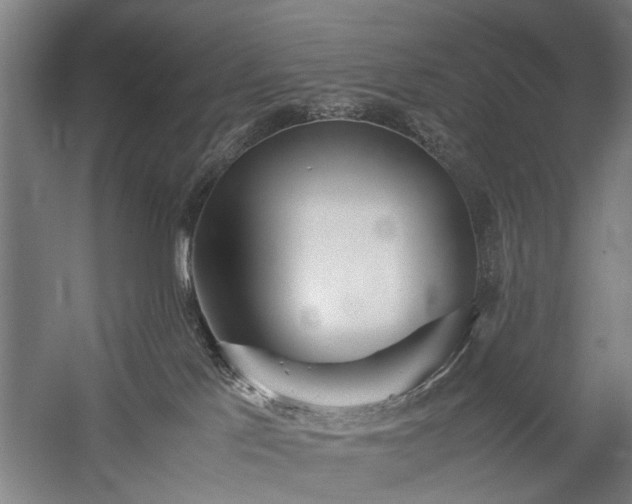 X0000060260041200510281217