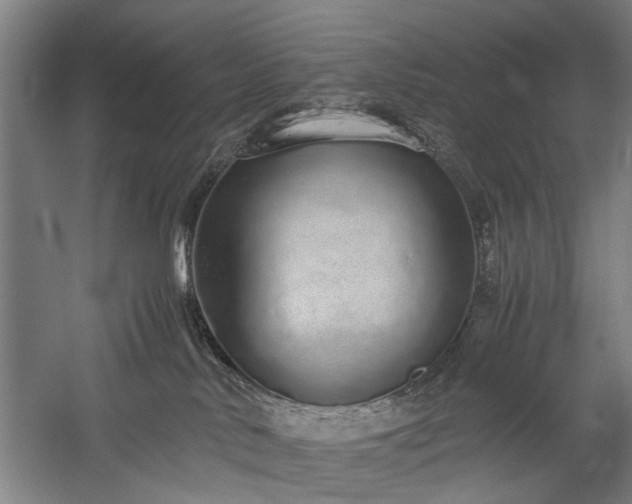 X0000060260042200510281217