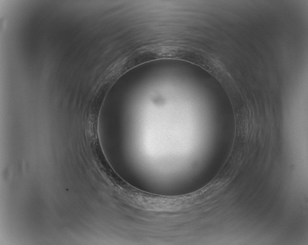 X0000060260044200510281217