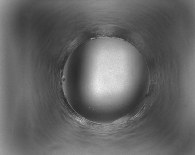 X0000060260045200510281217