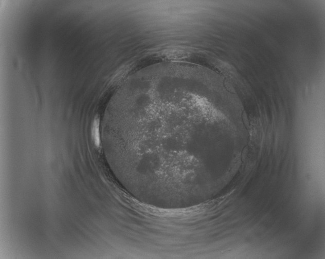 X0000060260046200510281217