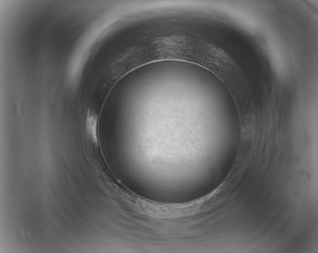 X0000060260047200510281217