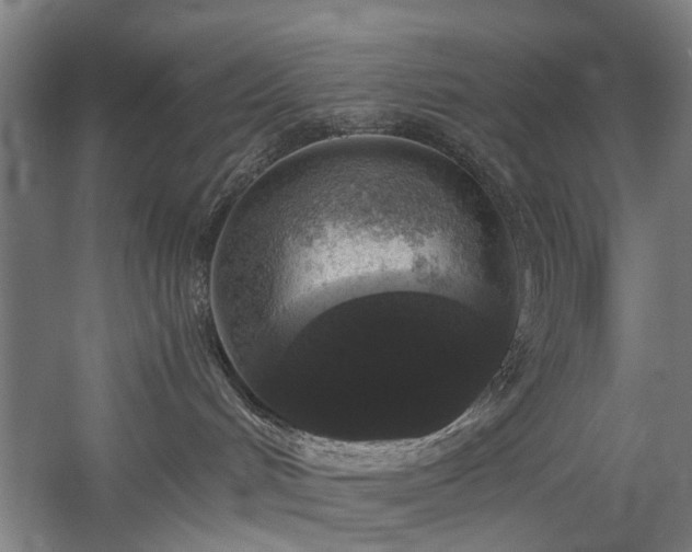 X0000060260048200510281217