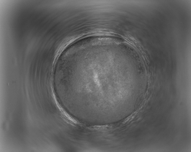 X0000060260049200510281216