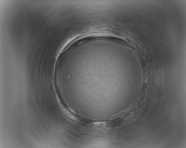 X0000060260052200510281216