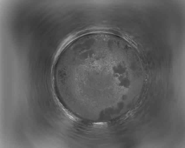 X0000060260053200510281216