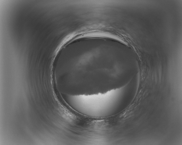 X0000060260054200510281216