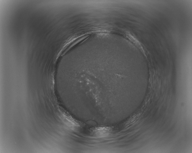 X0000060260059200510281216