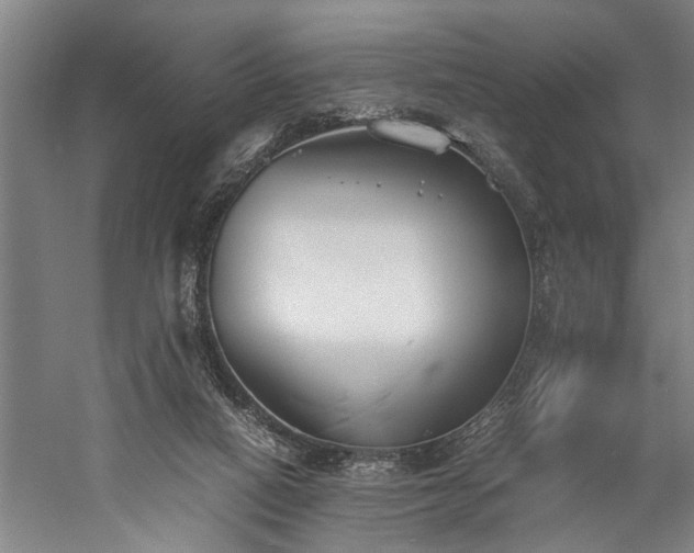 X0000060260066200510281216