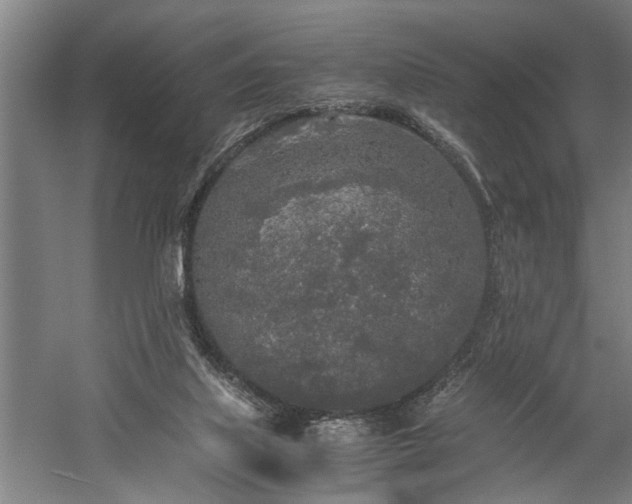 X0000060260067200510281216