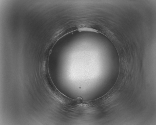 X0000060260071200510281216