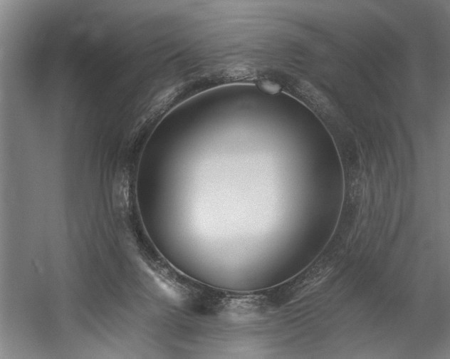 X0000060260072200510281216