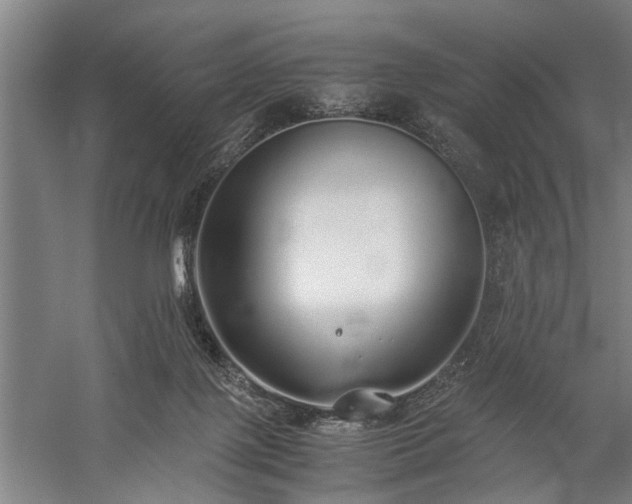 X0000060260075200510281216