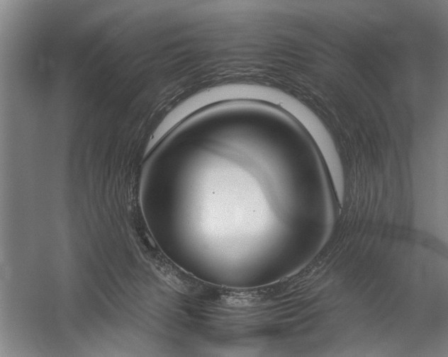 X0000060260079200510281216