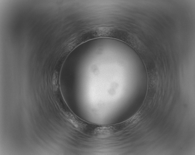 X0000060260082200510281216