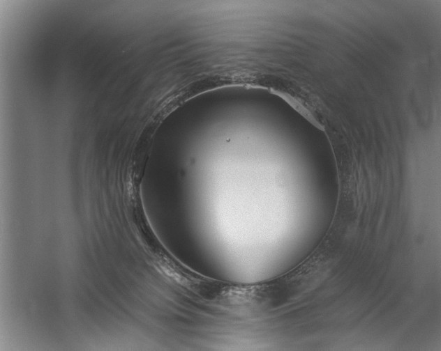 X0000060260084200510281217