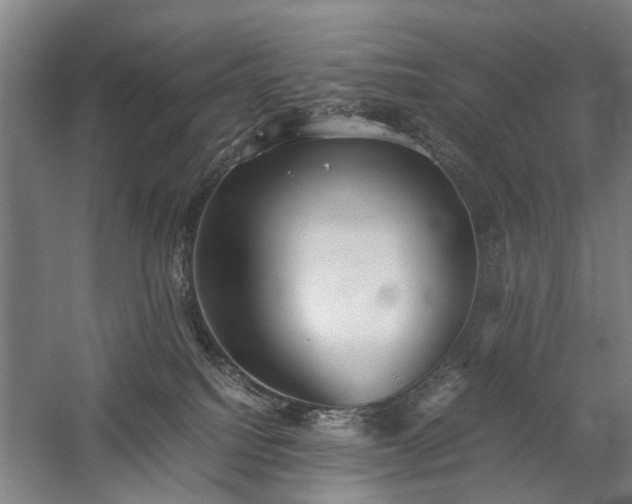 X0000060260088200510281217