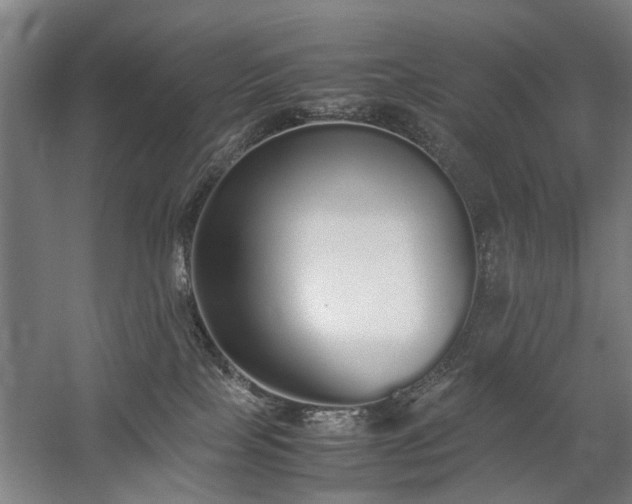 X0000060260089200510281217