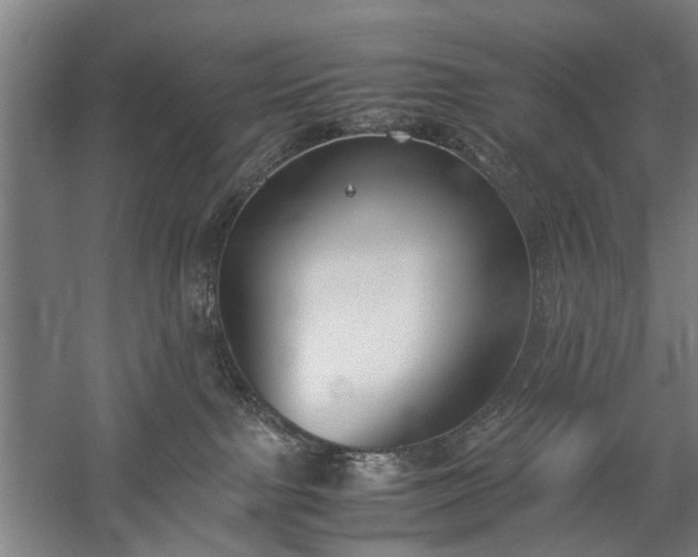 X0000060260091200510281217